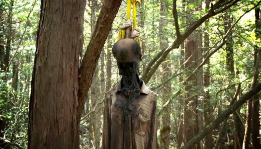 Get Lost in This New Trailer for ‘The Forest’