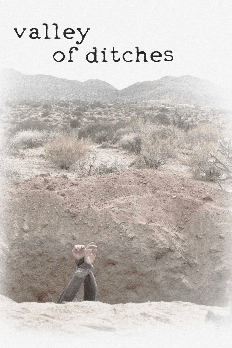 Valley of Ditches Poster