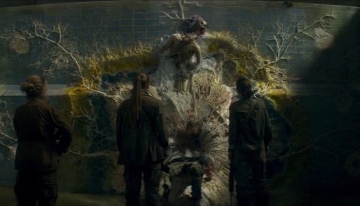 Official ‘Annihilation’ Trailer Shows What Happens When Sci-Fi And Horror Meet