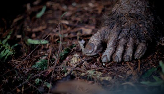 Primal Rage: Witness The Rebirth Of Bigfoot On The Bigscreen