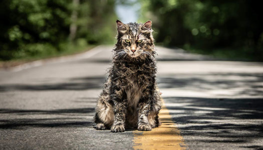 Sometimes Dead Is Better At The ‘Pet Sematary’ [Trailer]